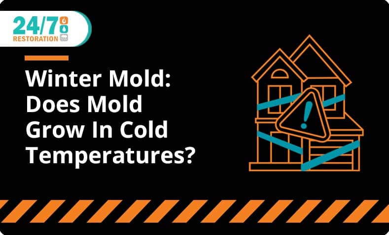 24_7 Restoration - Blog - Does Mold Grow In Cold Temperatures